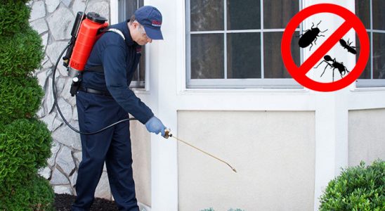 Sındırgı Hamam Böceği İlaçlama böcek ilaçlama ve haşere kontrolü — ilaclama-tr.com
